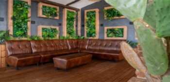 Tropic Beach Club