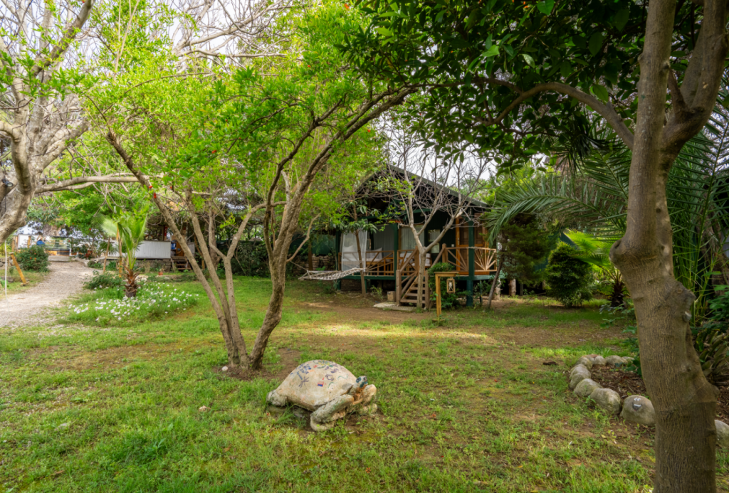 Etenna Beach Bungalows galeri 2