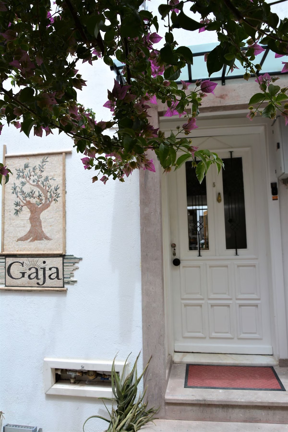 Gaja Ayvalık