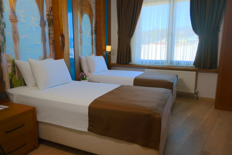 Sarıkamış Kayı Resort Otel