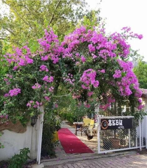 Zebu Hotel Adrasan · 7