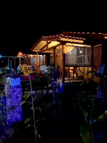 Begon Villa Butik