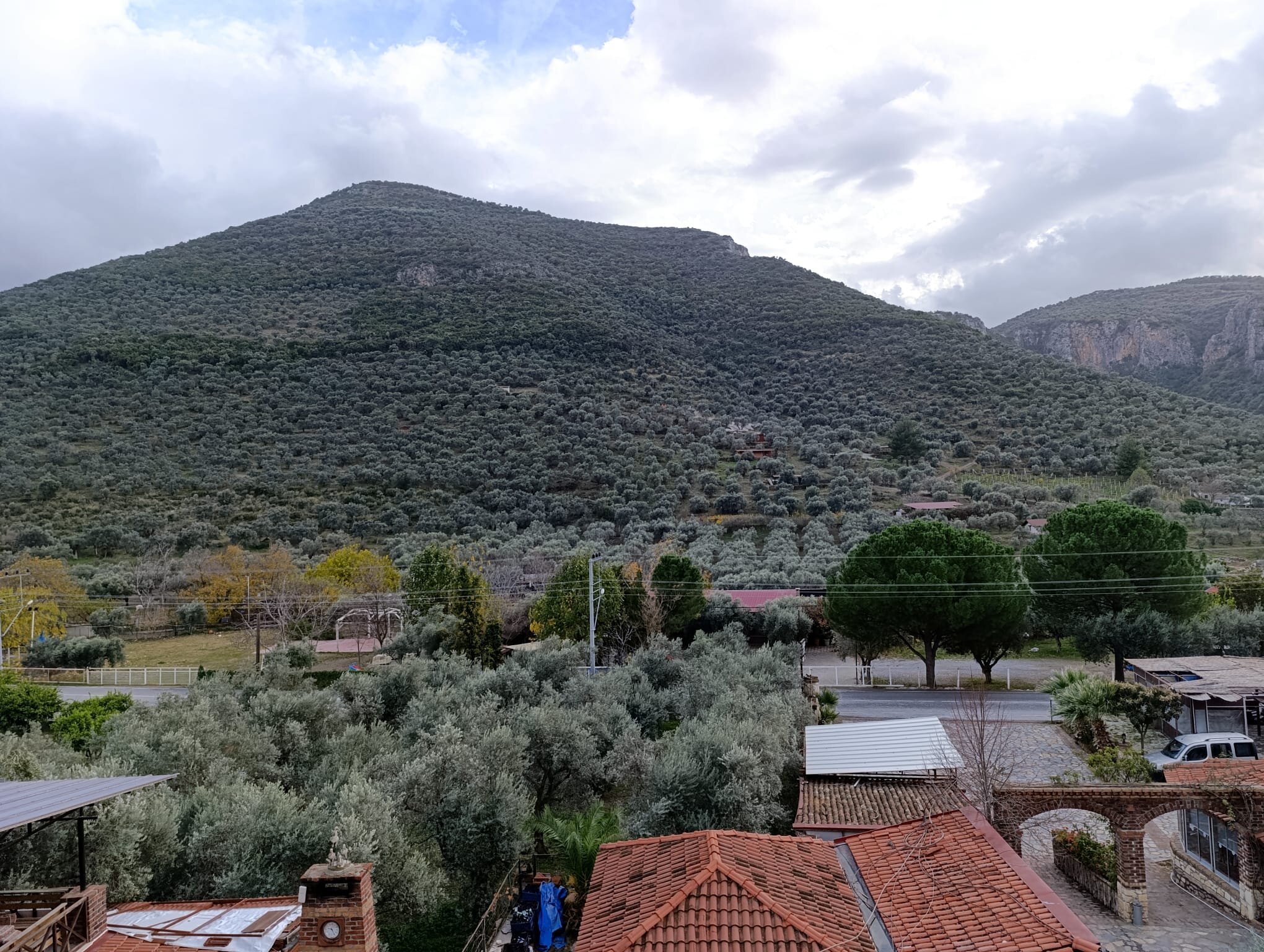 Taş Evler Butik Otel Şirince galeri 5
