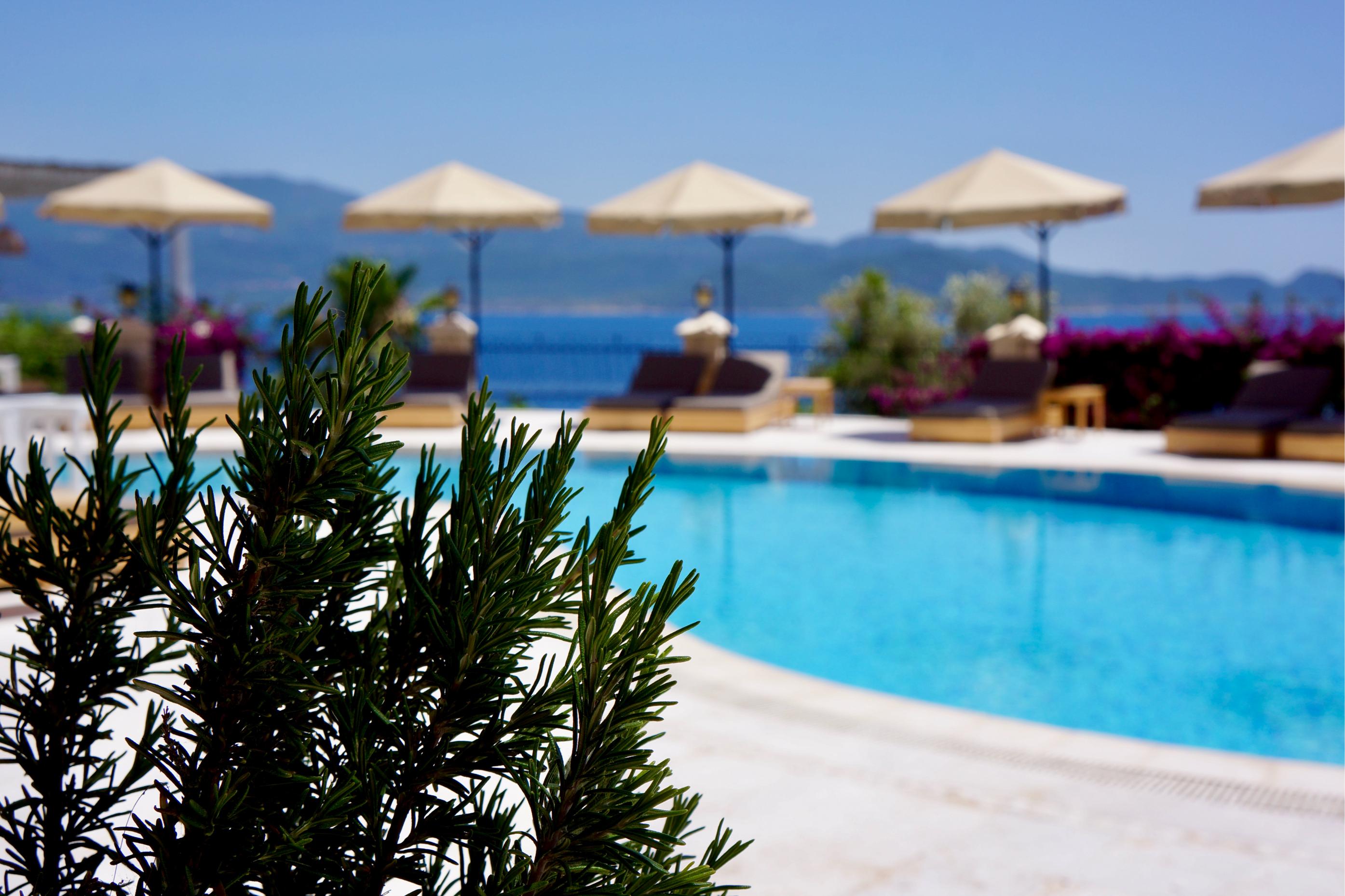Tamara Prive (Adult Only+12)