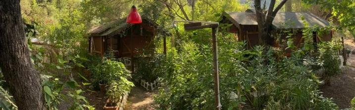 CanaRio Pension