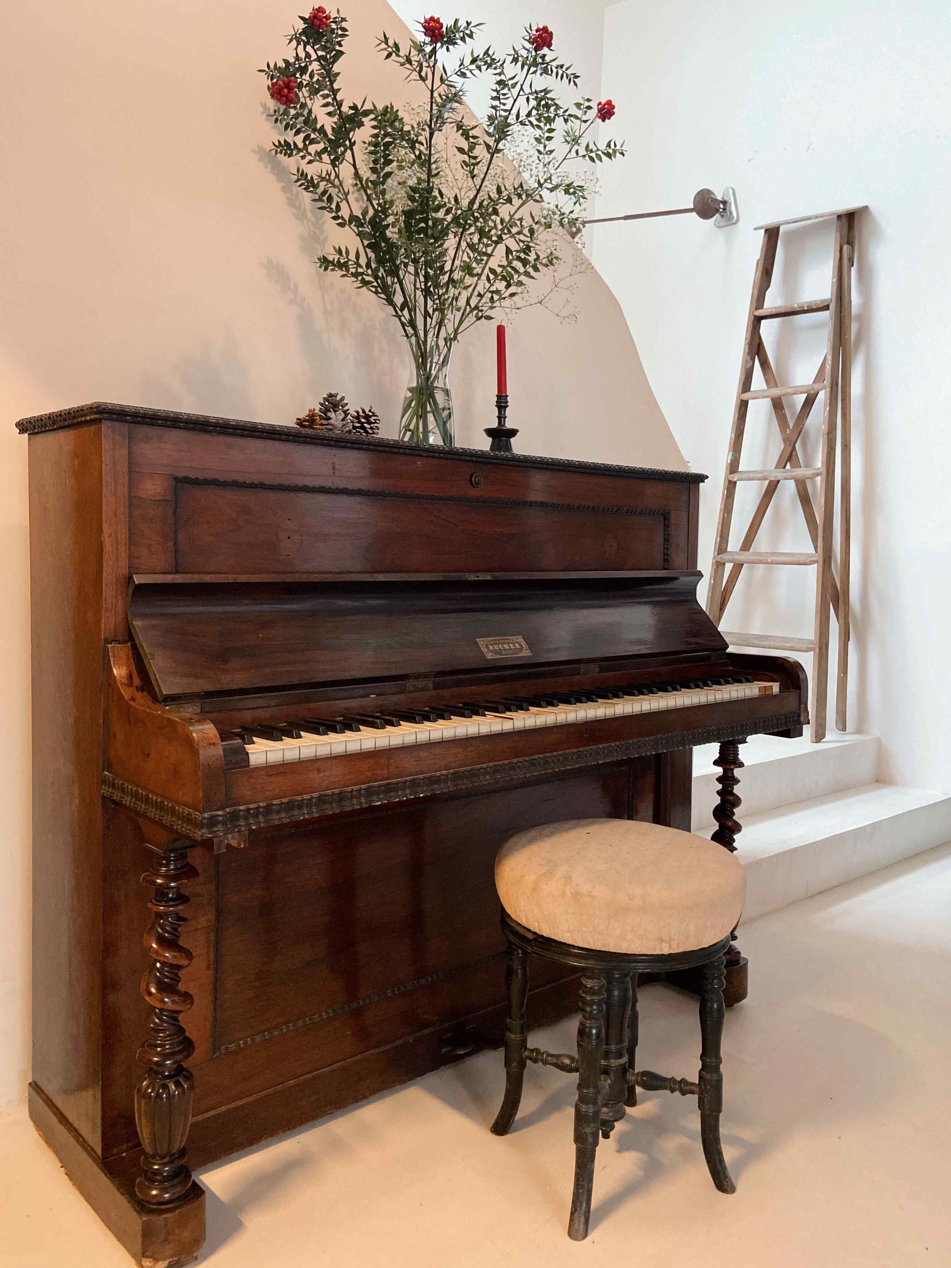 To Be Social House (Yetişkin Oteli)