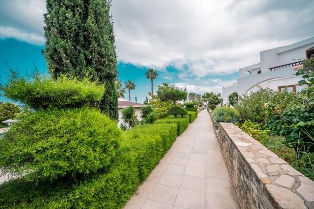 The Olive Tree Hotel galeri 6