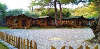 Green Pine Beach Luxury Bungalow Concept Ölüdeniz
