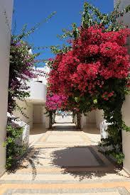 Ladonia Hotels Zemda Boutique