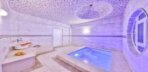 VIP Dubleks Villa - Jakuzili Termal Havuzlu Görseli