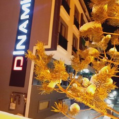 Dinamik Otel Sarıkamış