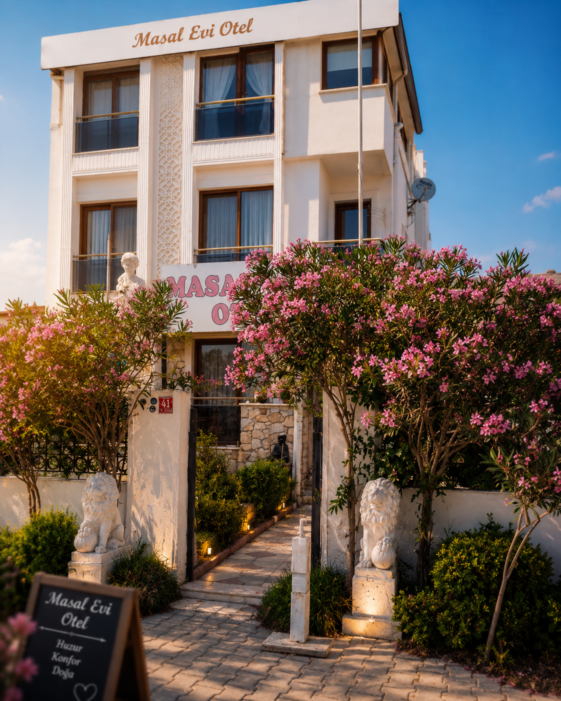 Masal Evi · 29