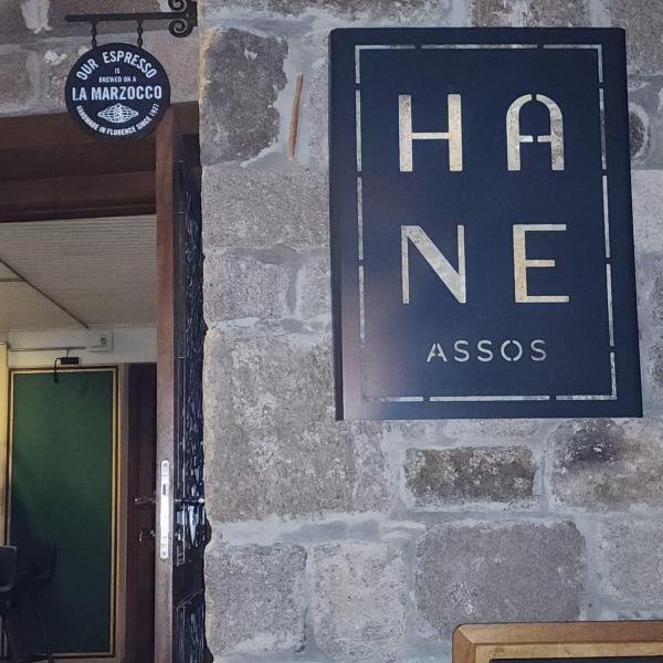 Hane Assos · 6