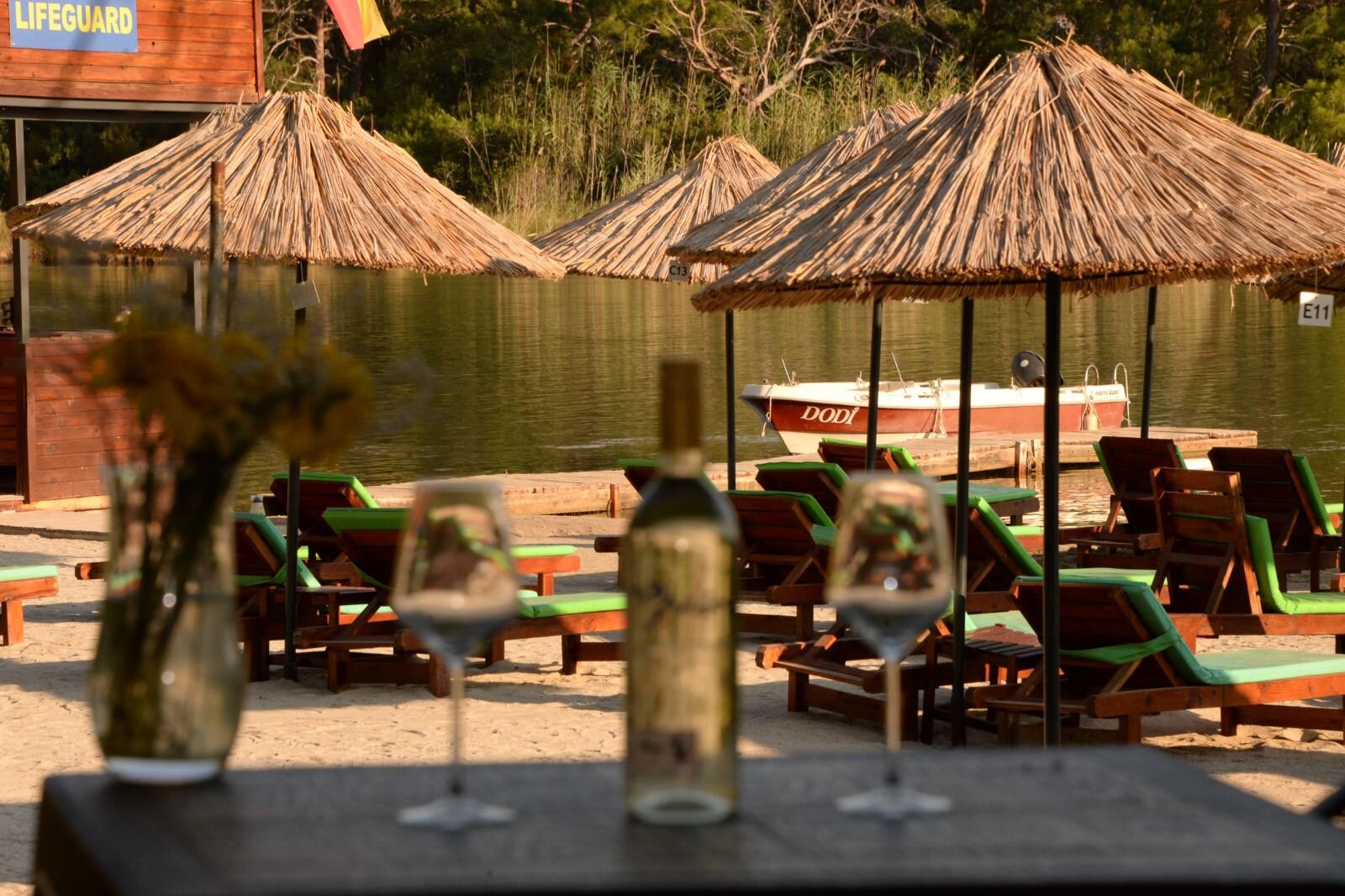 Lagun Beach House