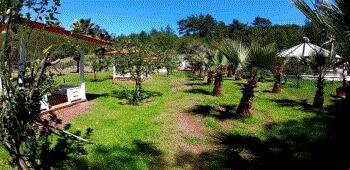 Nature Village Olympos