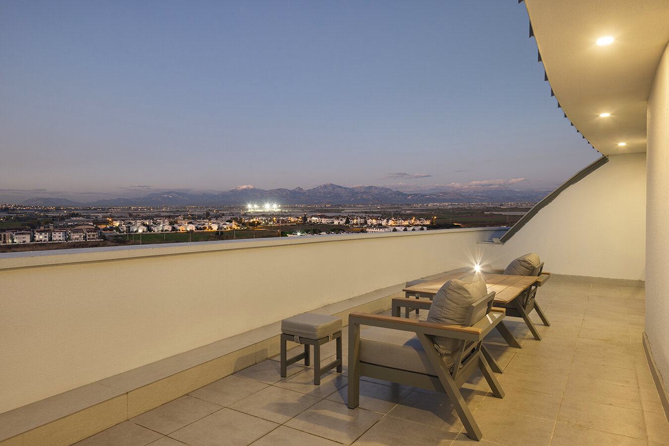 Penthouse Executive Duplex Suite