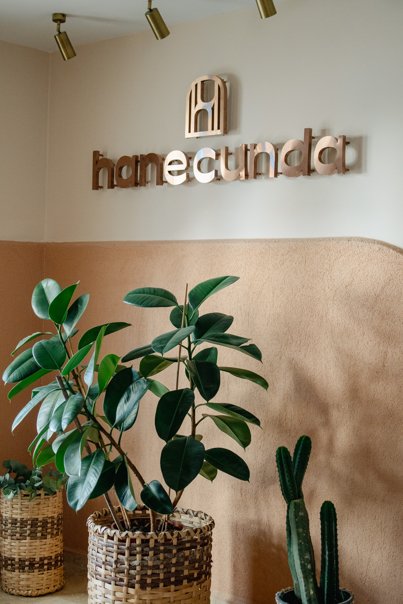 Hane Cunda