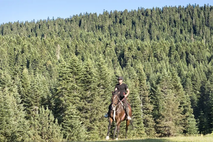 Jura Hotels Ilgaz Mountain Resort