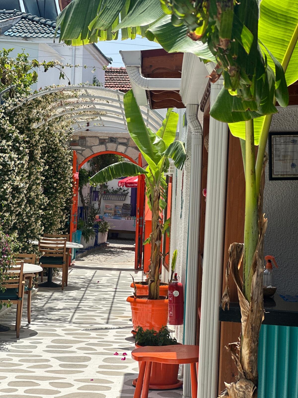 Lotus City Sığacık Butik Otel galeri 5
