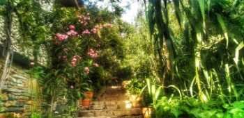 El Vino Hotels & Suites