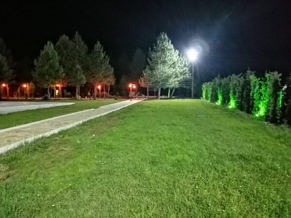 Lepista Garden