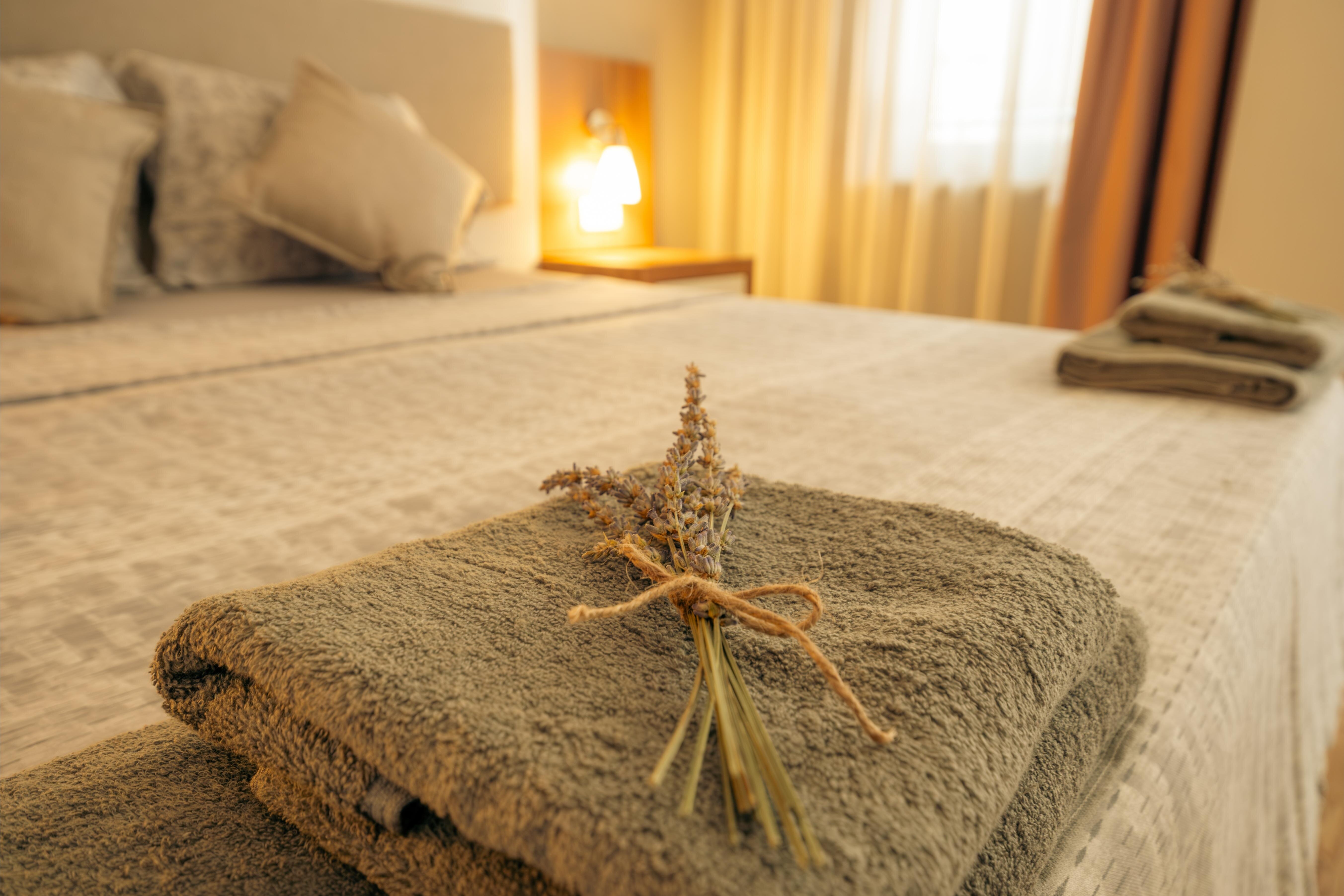 Novis Hotel Cleopatra galeri 4