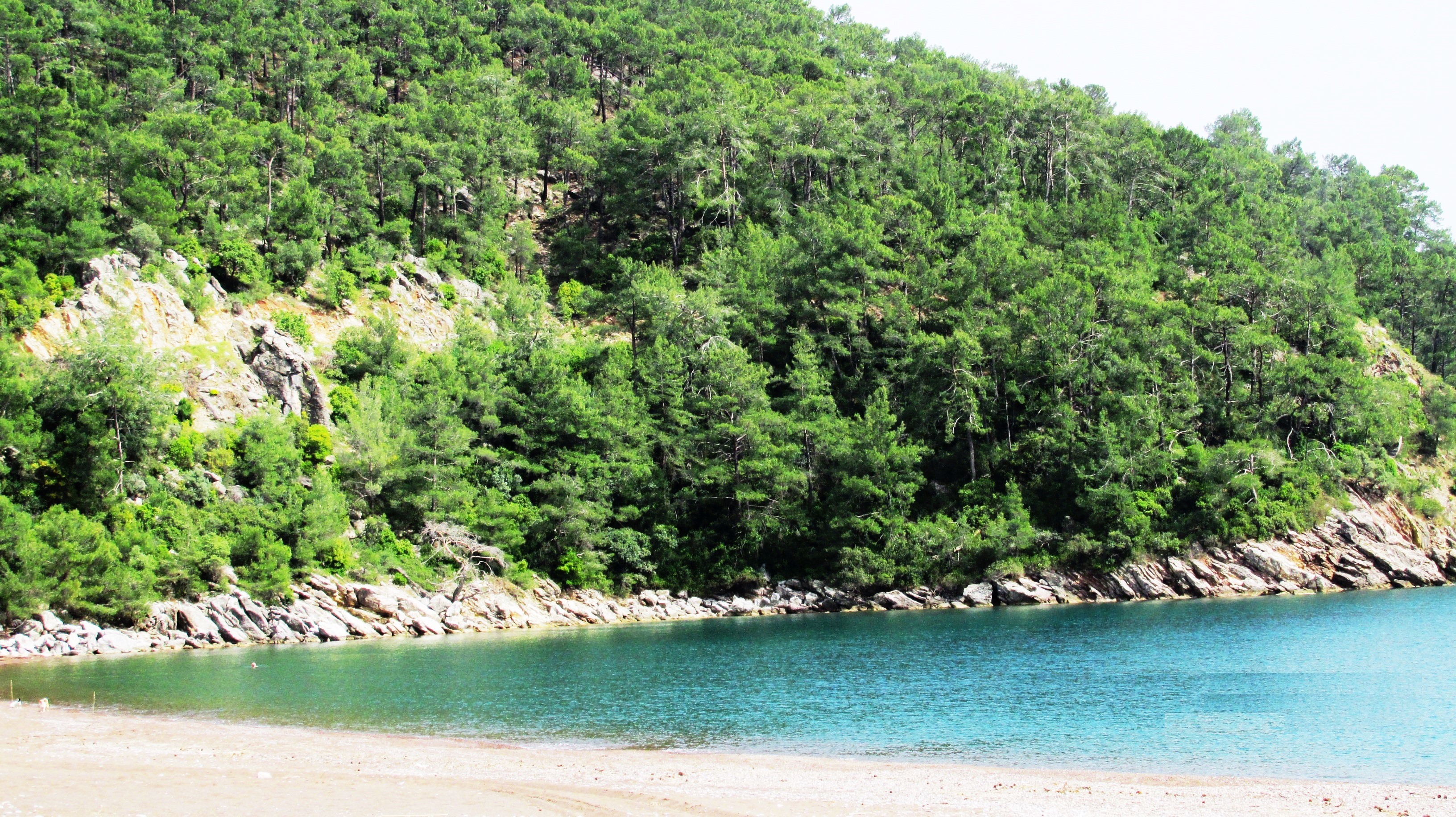Eden Bungalows And Beach
