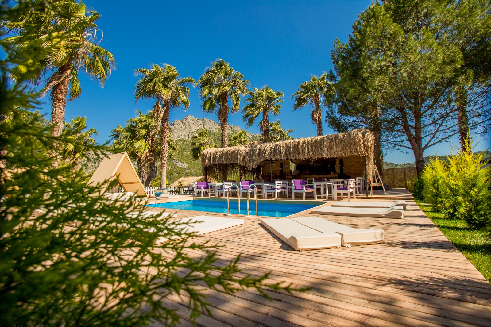 The Hill Glamping Hotel