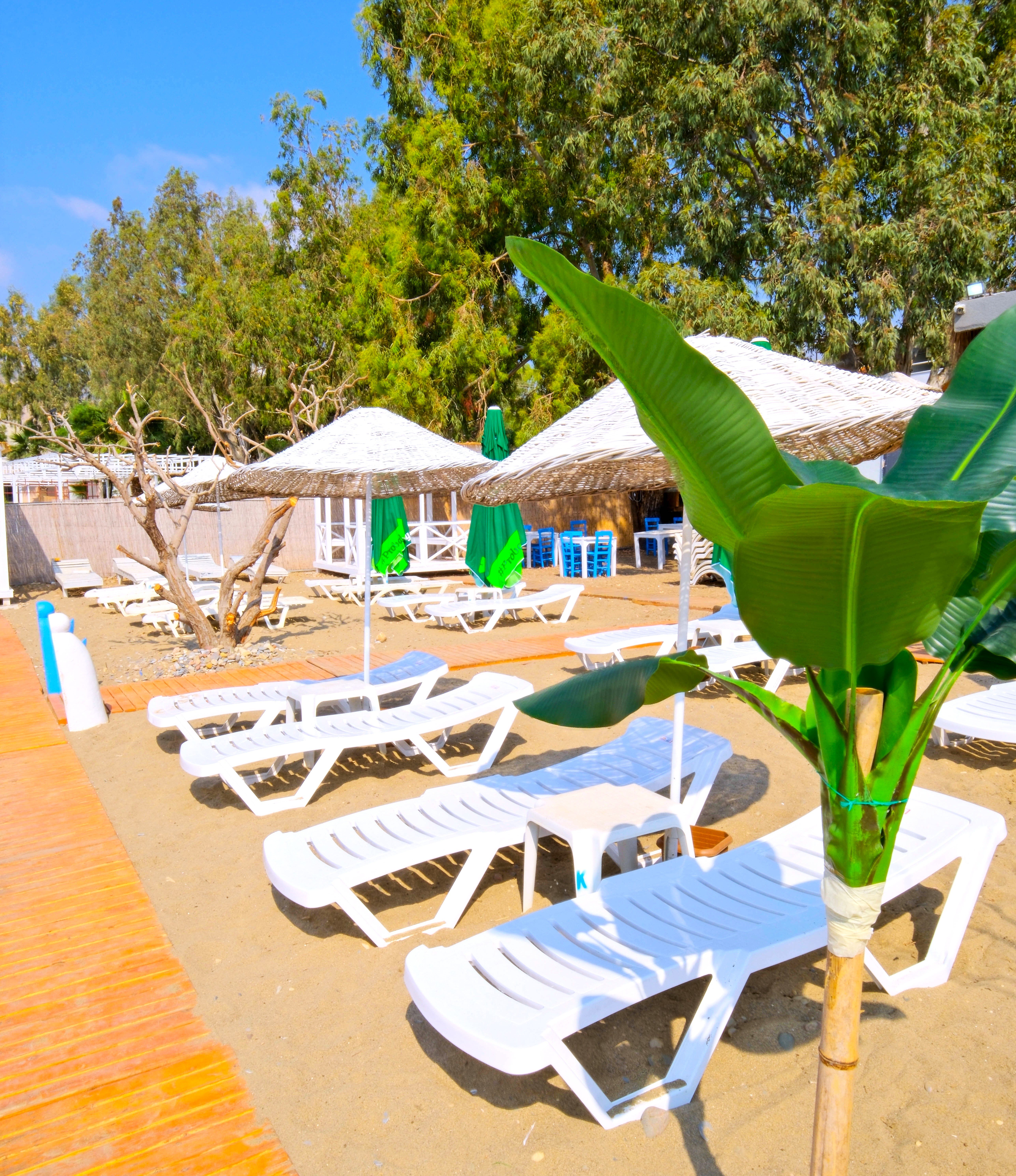 Kupala Beach Hotel · 32