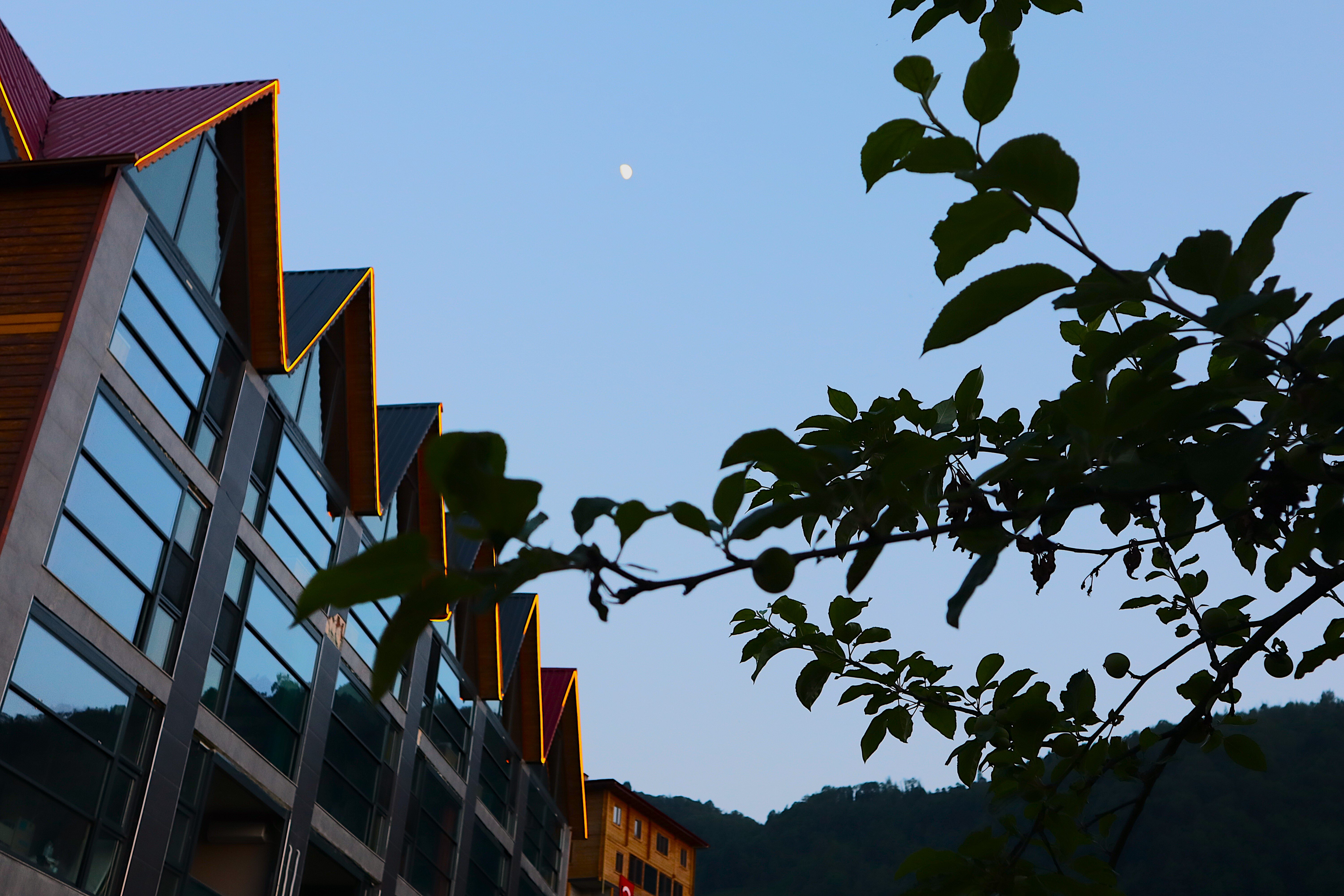Seyrona Otel · 80