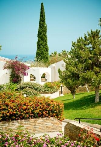 The Olive Tree Hotel galeri 10
