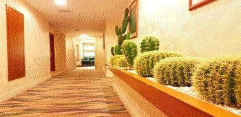 Hotel Mavi Sürmeli