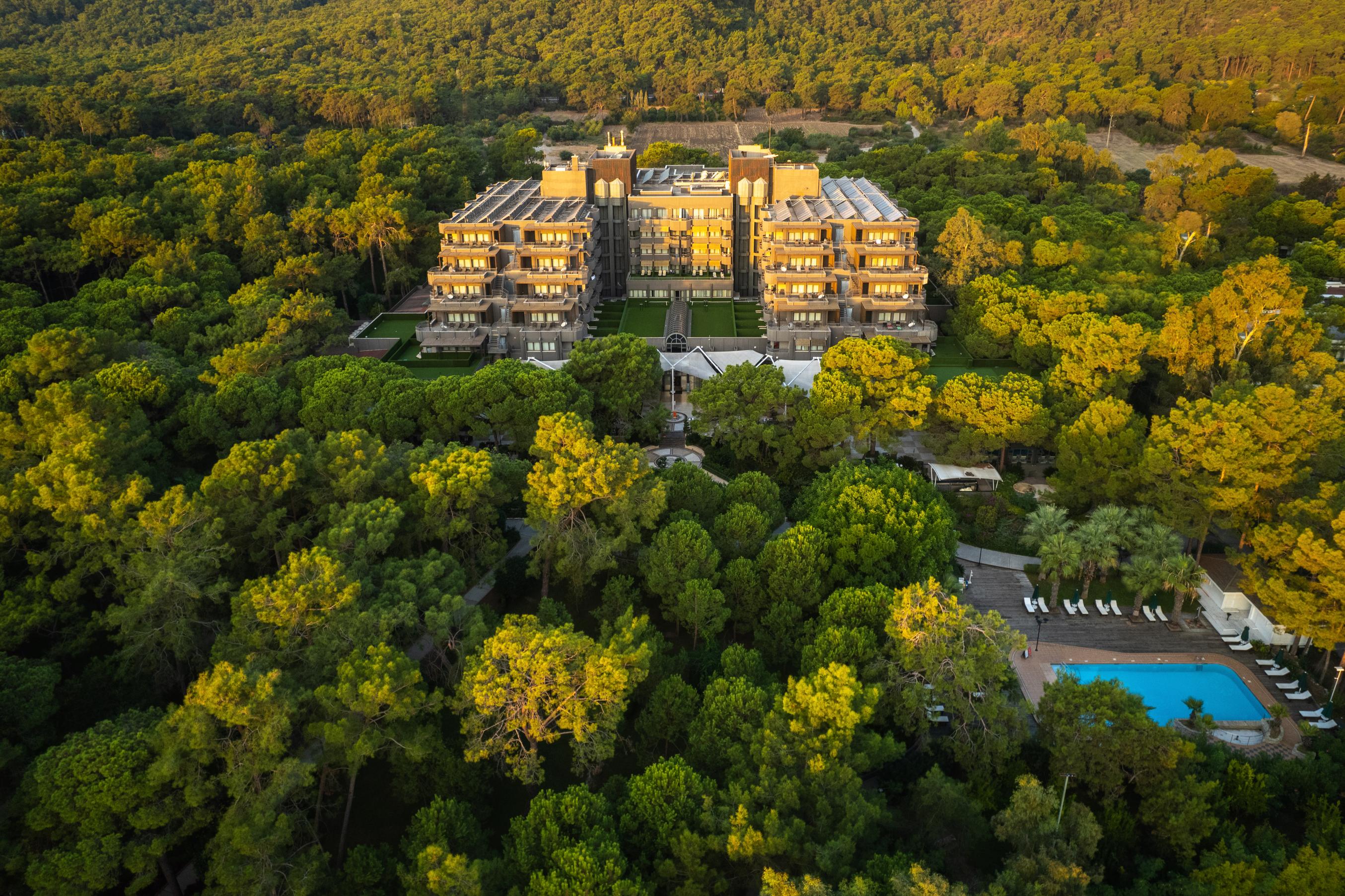 Balmy Foresta Hotel