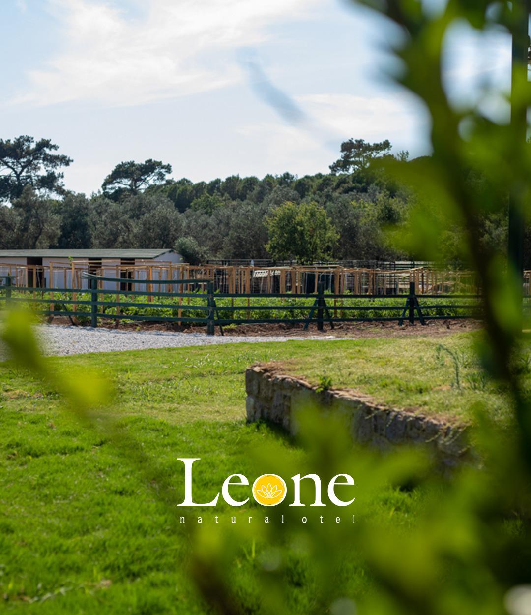 Leone Natural Otel