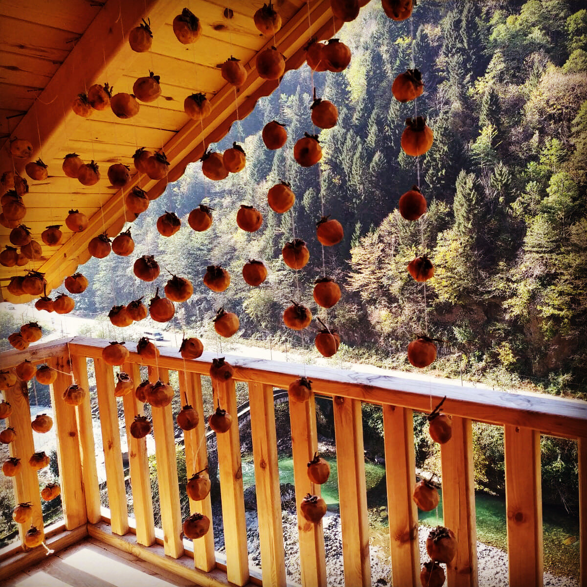 Hira Bungalov Pansiyon · 12