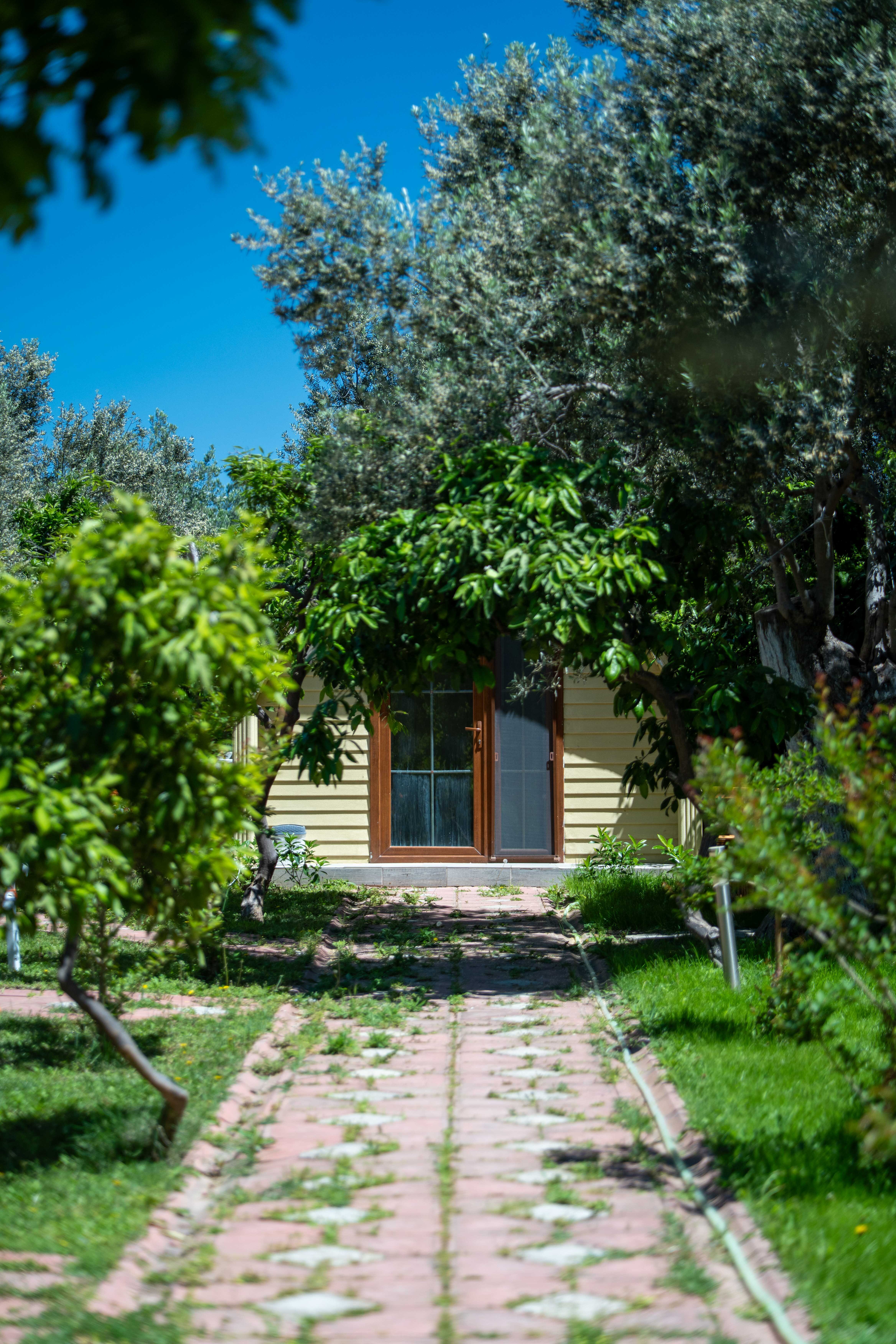 İdavilla Bungalov&Bahce · 39