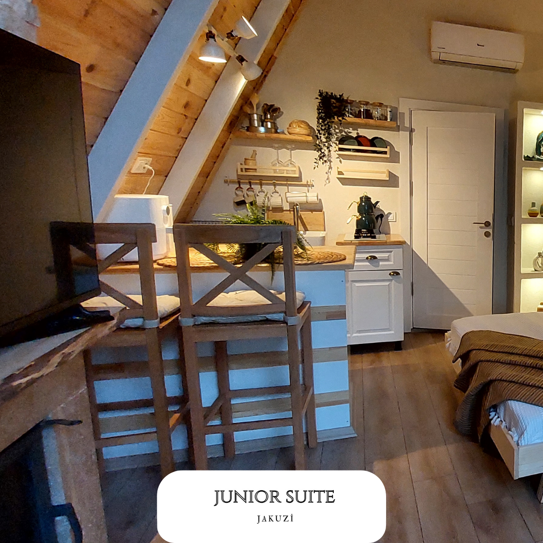 Junior Suite Room