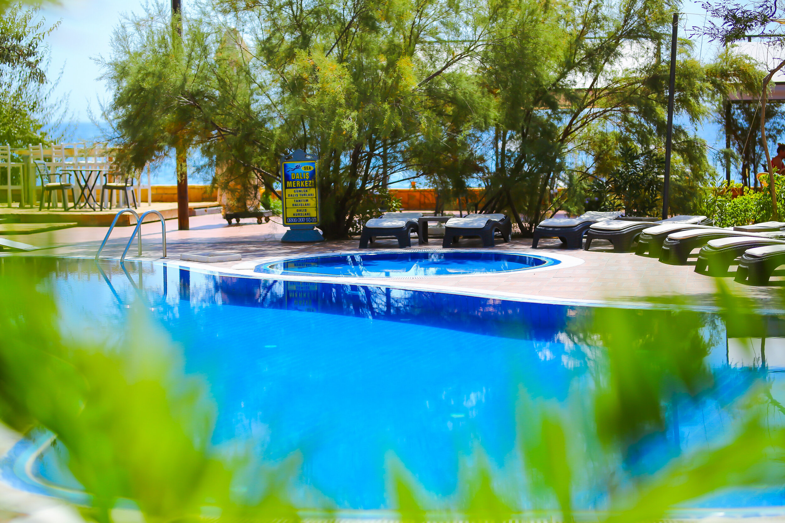 Olive Odore Palace Hotel Rezervasyon