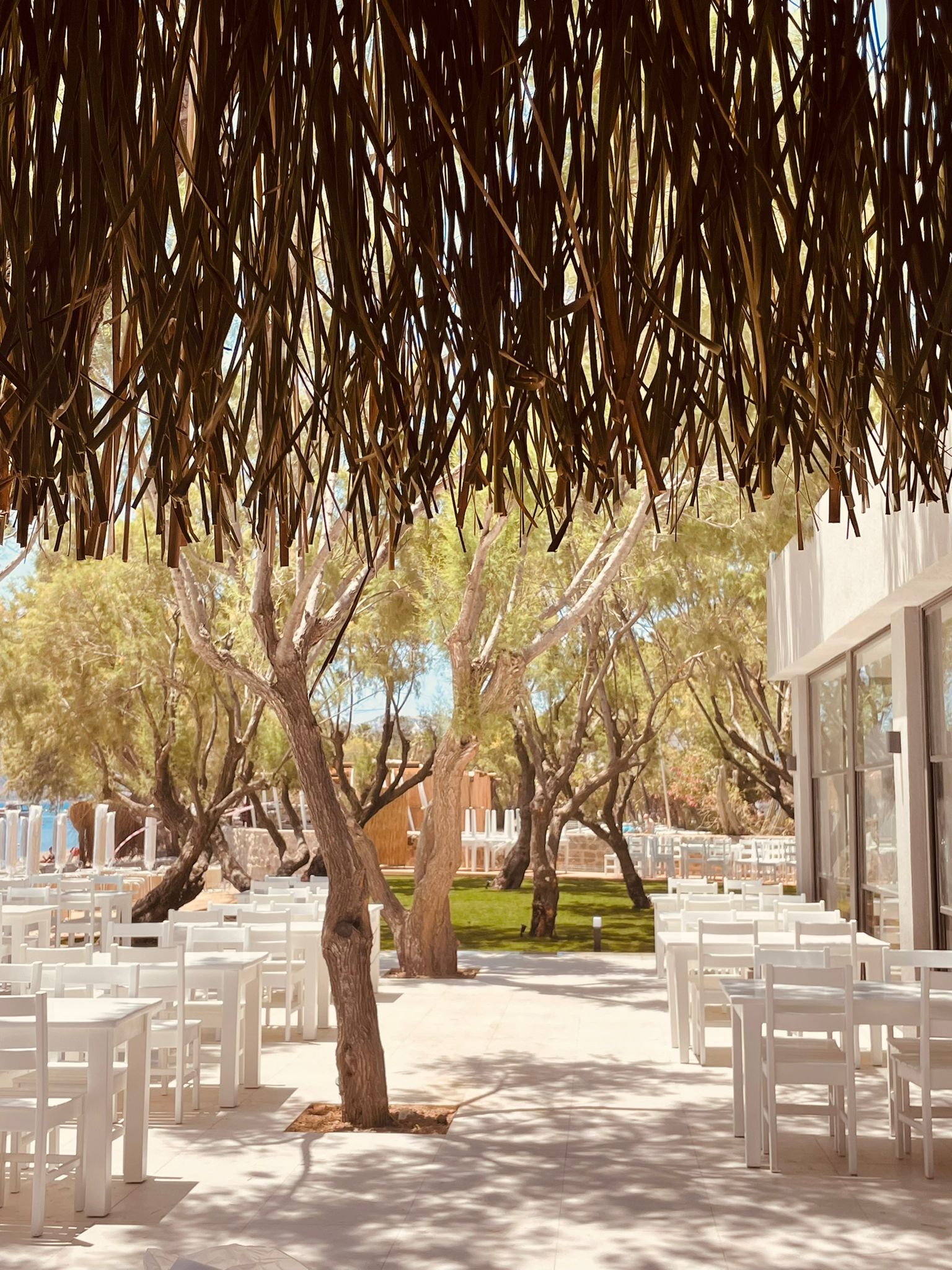 Regia Mare Beach Hotel Bodrum