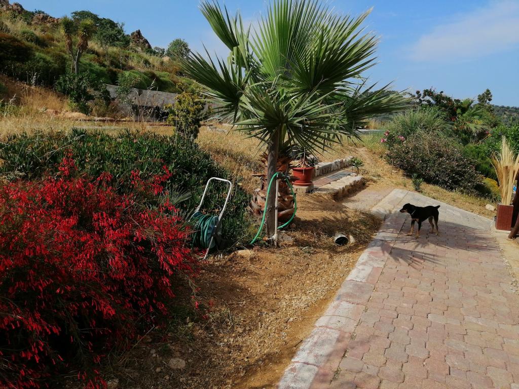 Eco Farm Boutique Hotel