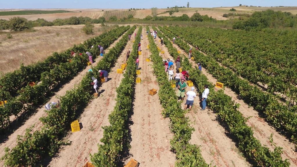Vinum Otel & Spa Tennis Courts by Edirne Vineyards