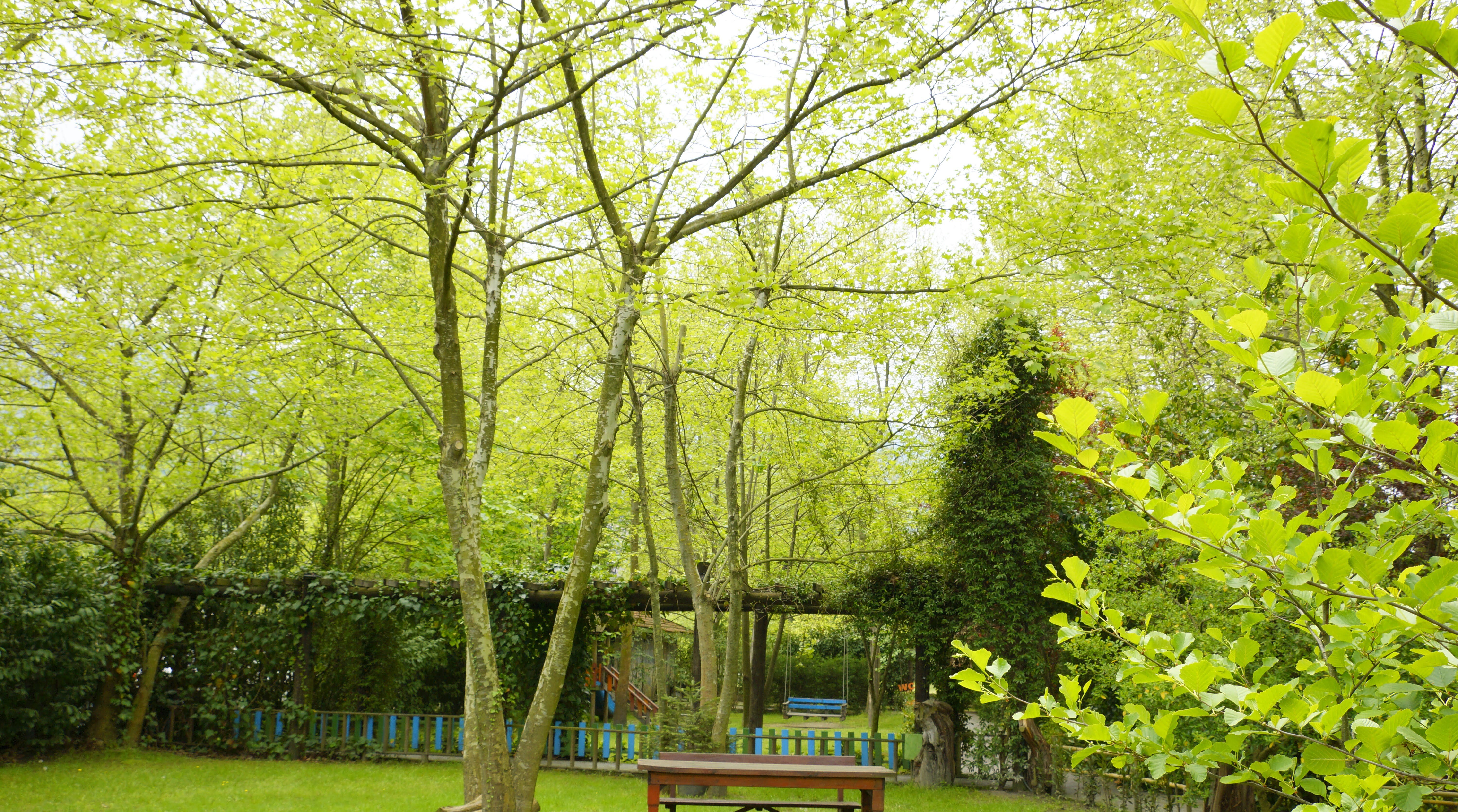 Maşukiye Irmak Bungalov galeri 4