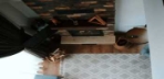Küçük Geyik (1+1 Villa)   Görseli