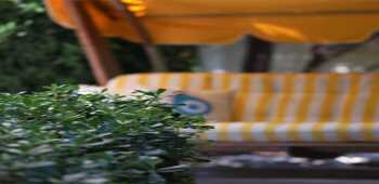 Mr. Dim Exclusive Apart Hotel- Göcek · 42