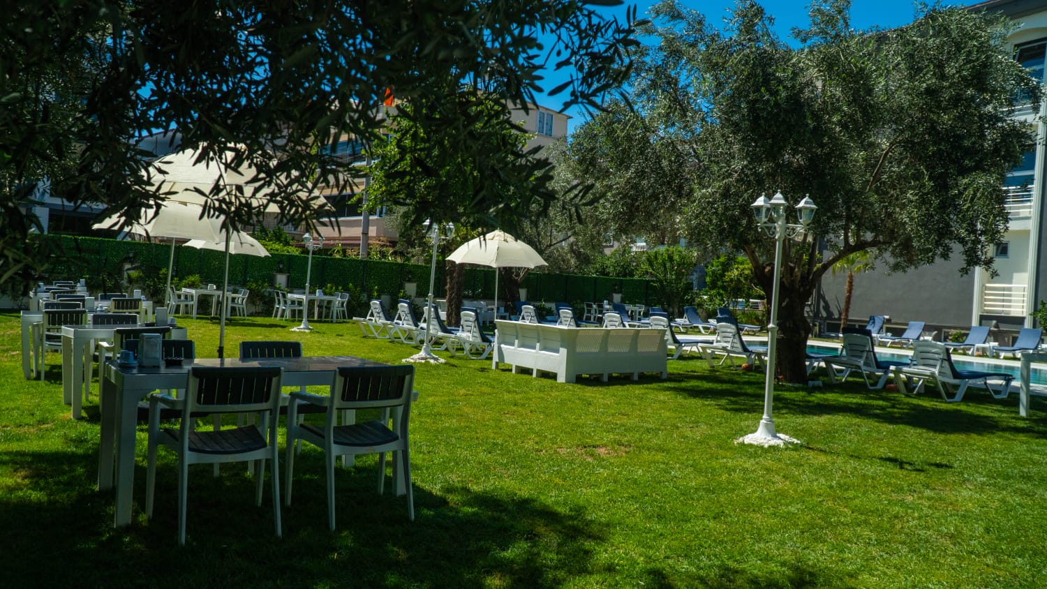 Platanus Hotel