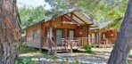 Olive Bungalow Görseli