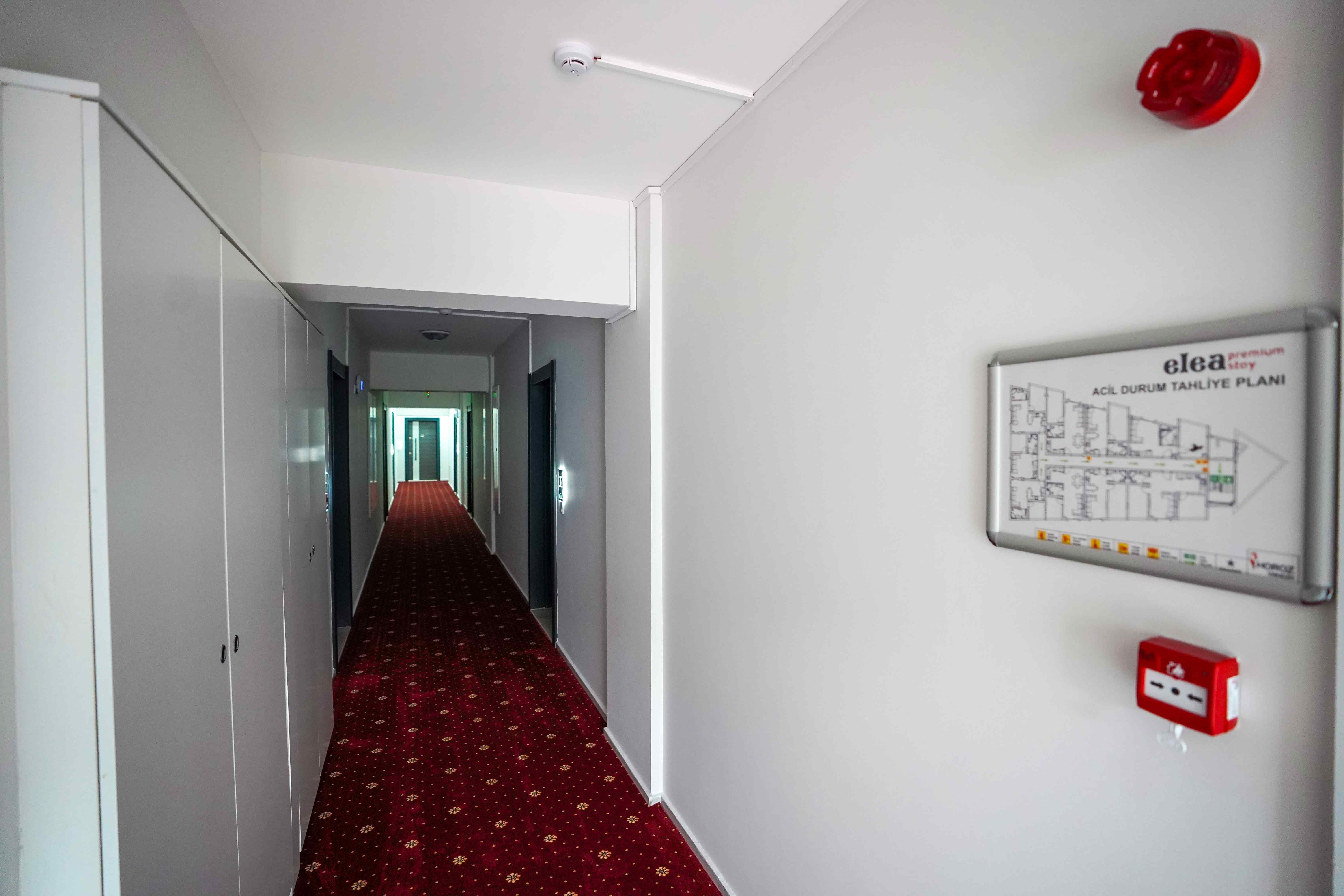 Triple Suite