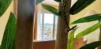 Deluxe Aile Suiti, Deniz Manzaralı Görseli