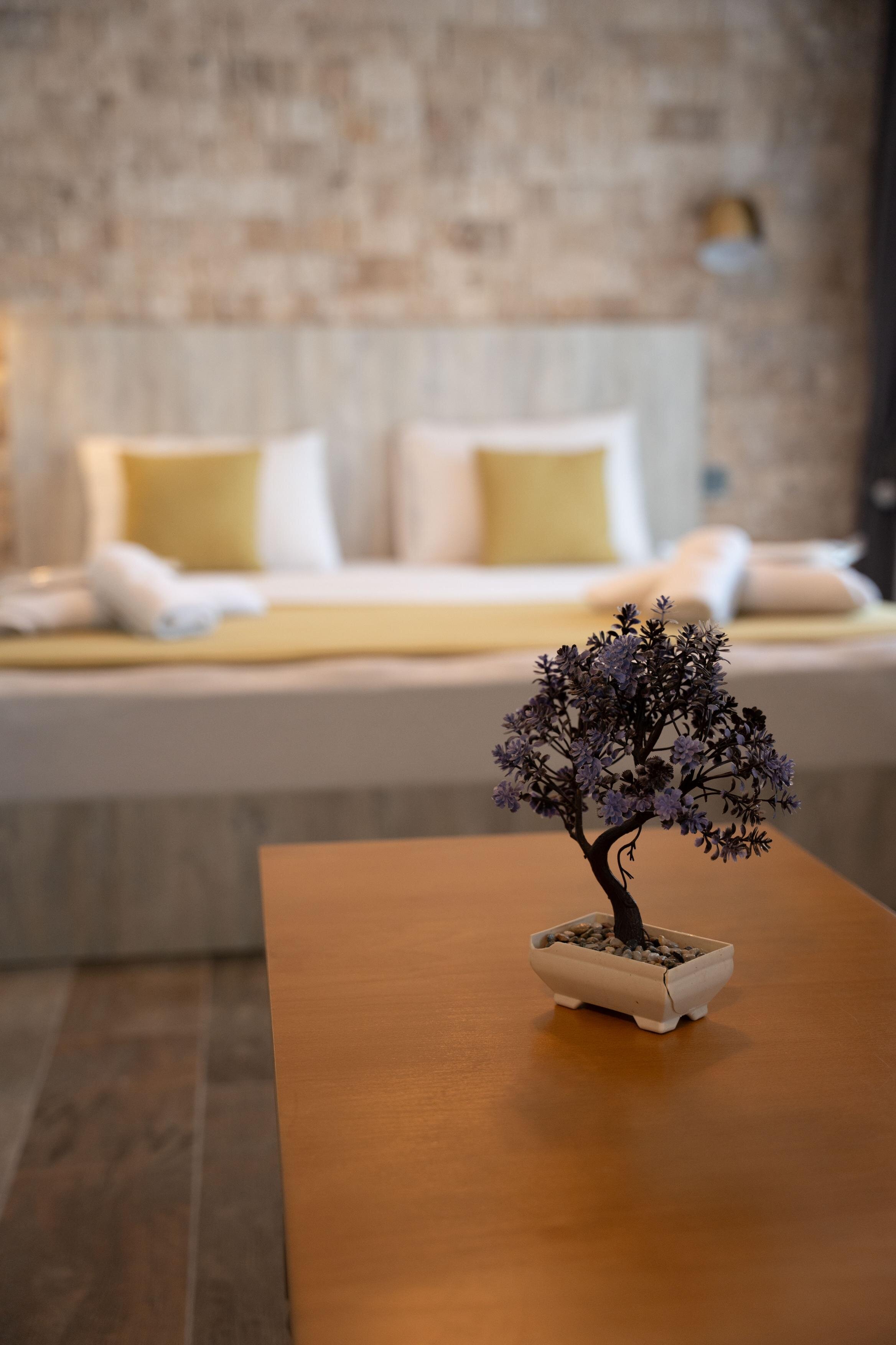 Terrace Suite