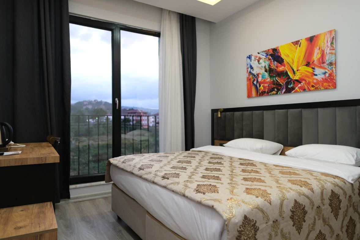 Standard Room, Mountain View